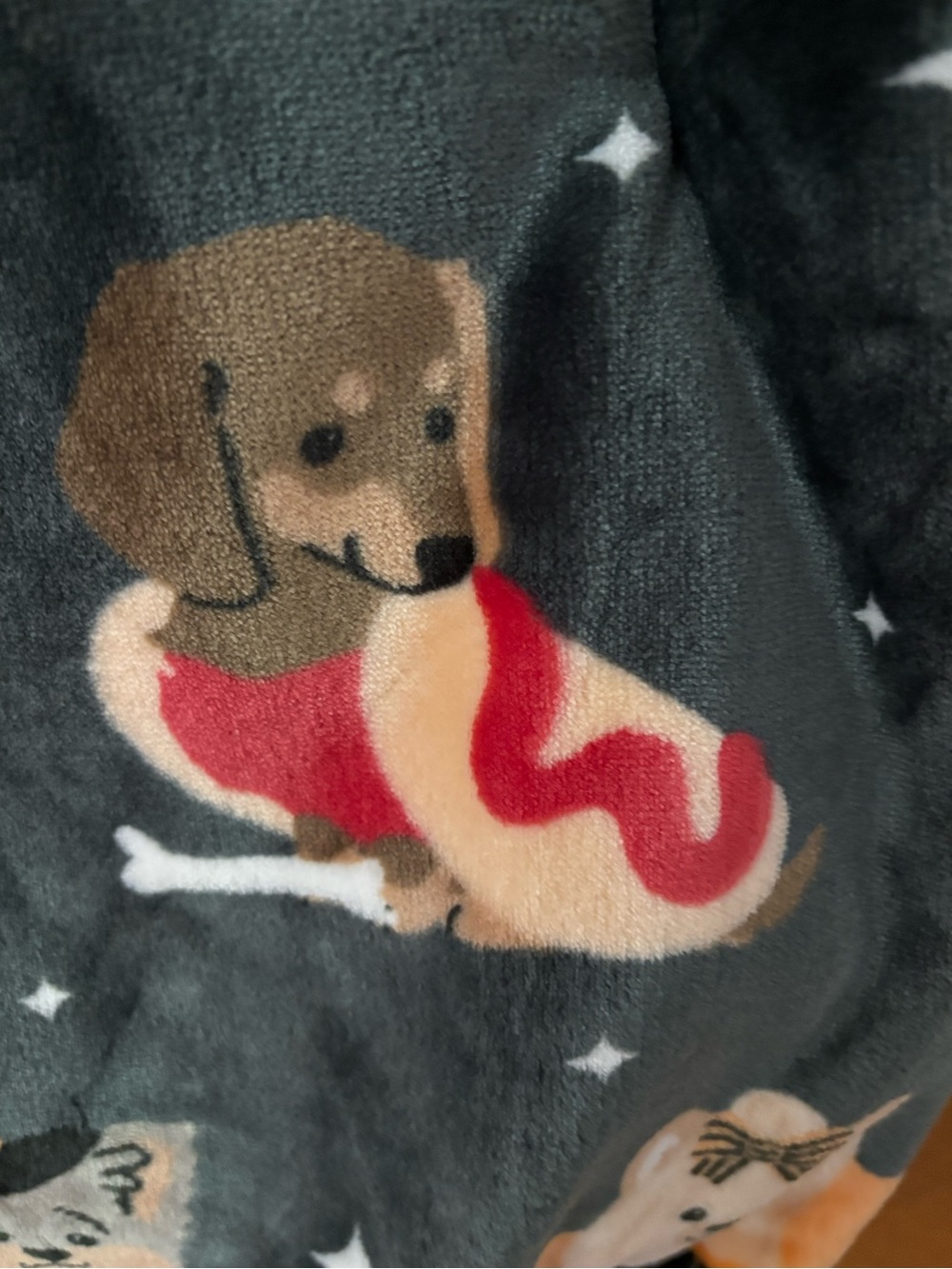 Halloween Throw Blanket.  New.  Dogs - Picture 5 of 5